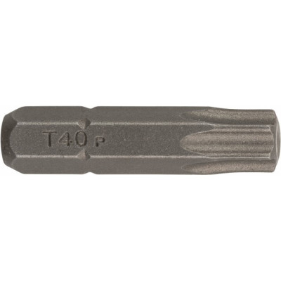 Набір біт Bosch Standard Torx T40 25 мм 2 шт (2609255938)